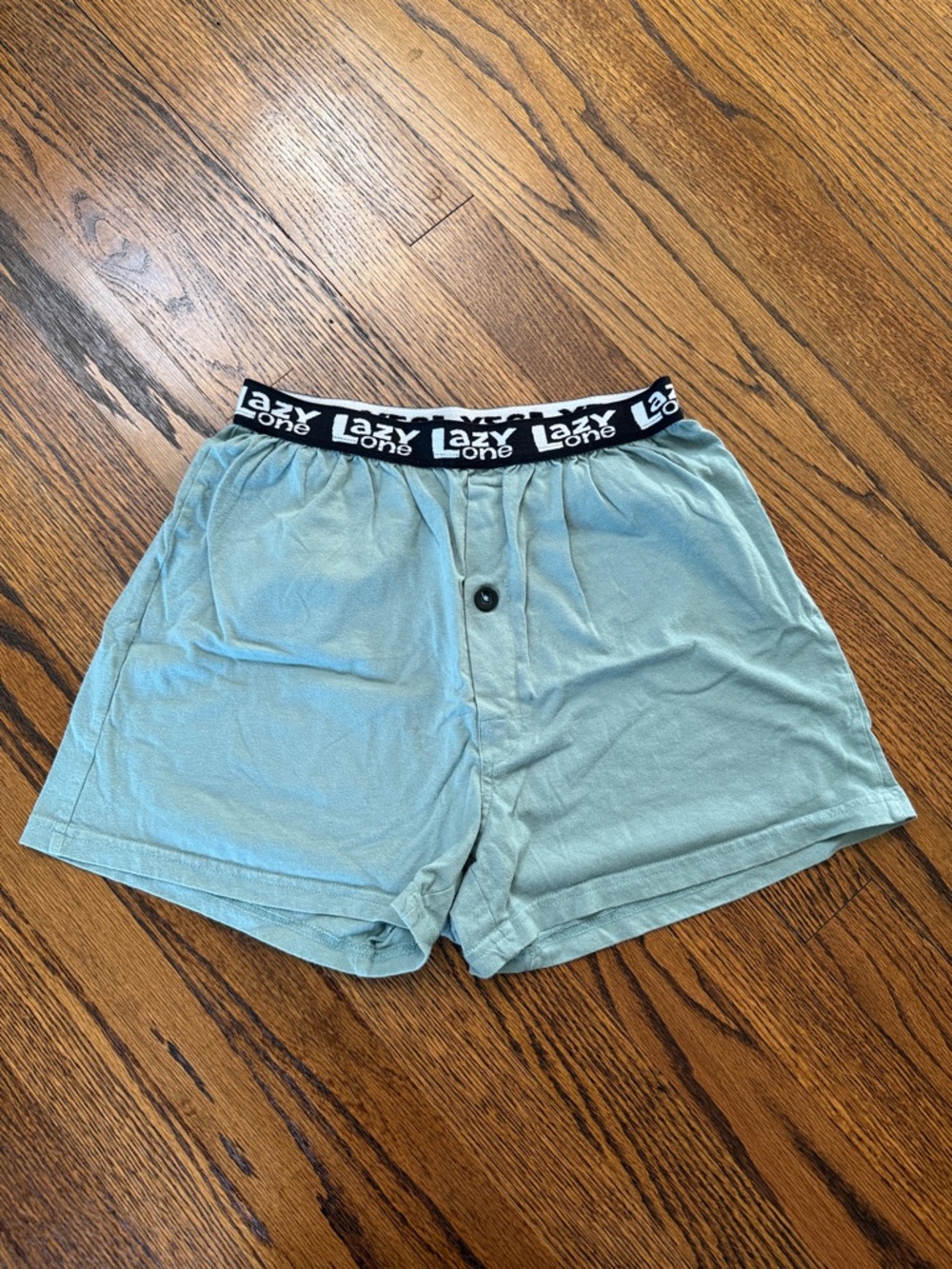 B40 Lazy One Kids Large 14-16 Light Sage Boxer Shorts with Black Logo Waistband